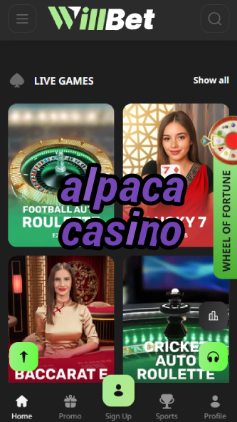 Alpaca Casino - Cute Animal-Themed Casino-casinobull24.bdqngd.com